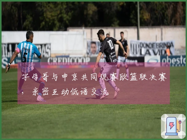 字母哥与申京共同观赛欧篮联决赛，亲密互动低语交流